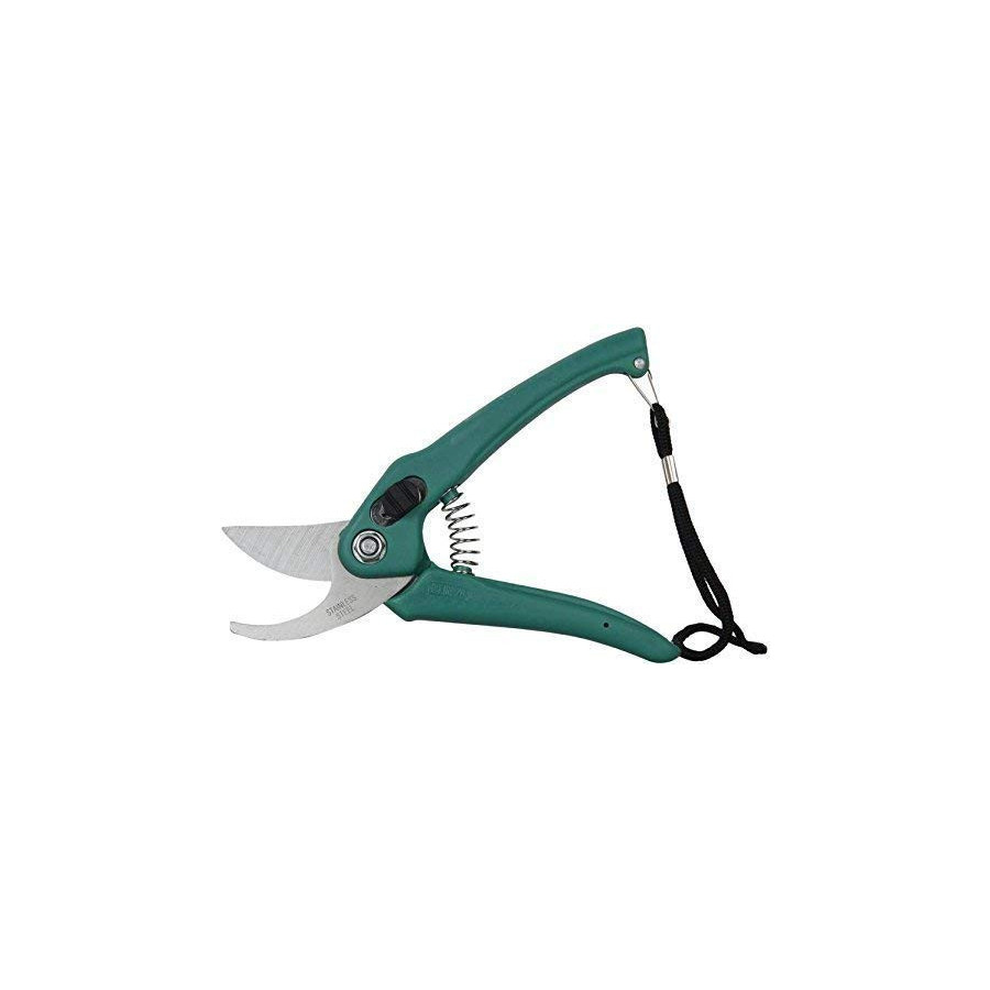 Garden Stainless Steel Scissor, Pruning Seeds, Flower Cutter and Grass Cutter
