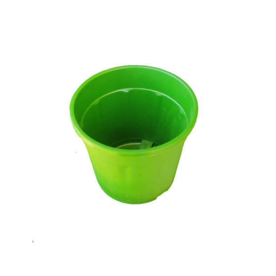 Round 4 inch Plastic Pot for Succulents , Cactus , Rooting -Green Colour