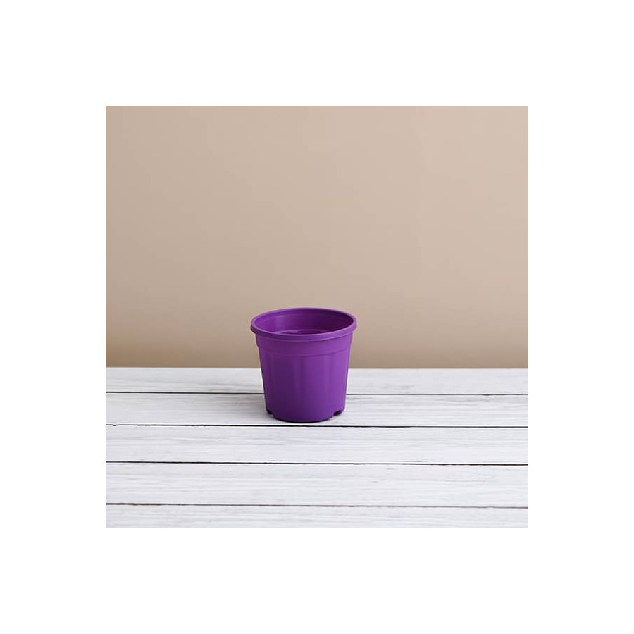 Round 4 inch Plastic Pot for Succulents , Cactus , Rooting -Violet Colour