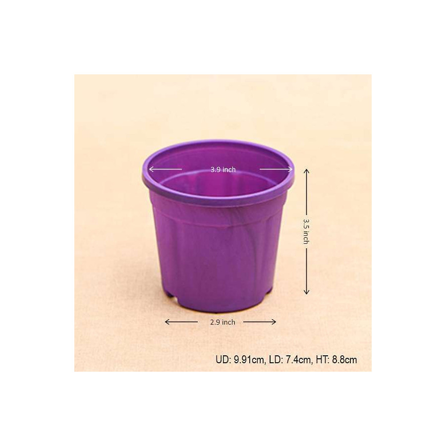 Round 4 inch Plastic Pot for Succulents , Cactus , Rooting -Violet Colour