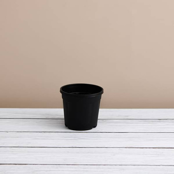 Round 4 inch Plastic Pot for Succulents , Cactus , Rooting -Black Colour