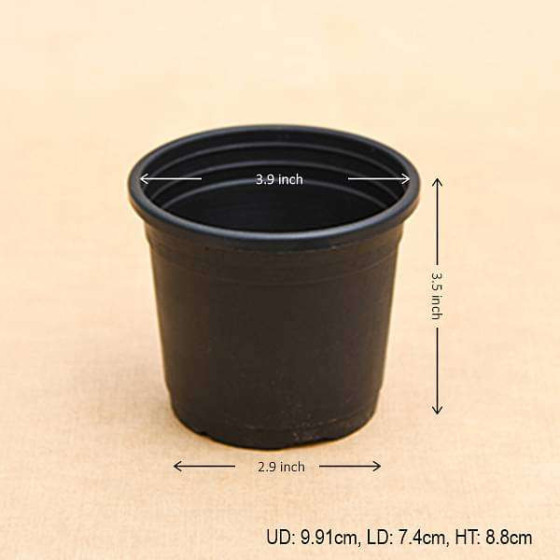Round 4 inch Plastic Pot for Succulents , Cactus , Rooting -Black Colour