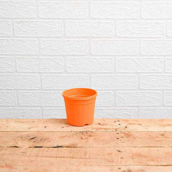 Round 4 inch Plastic Pot for Succulents , Cactus , Rooting - Orange Colour