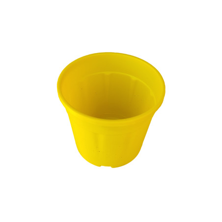 Round 4 inch Plastic Pot for Succulents , Cactus , Rooting -Yellow  Colour