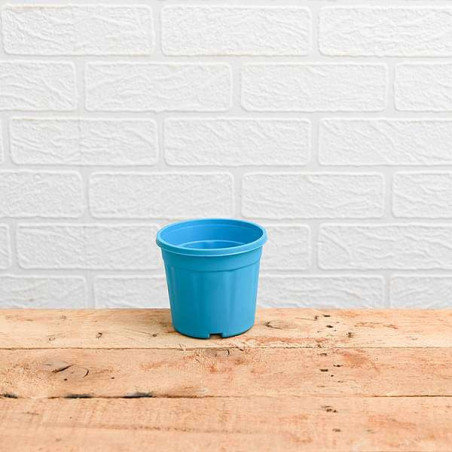 Round 4 inch Plastic Pot for Succulents , Cactus , Rooting - Sky Blue Colour
