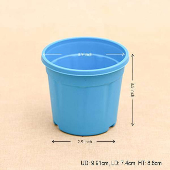 Round 4 inch Plastic Pot for Succulents , Cactus , Rooting - Sky Blue Colour