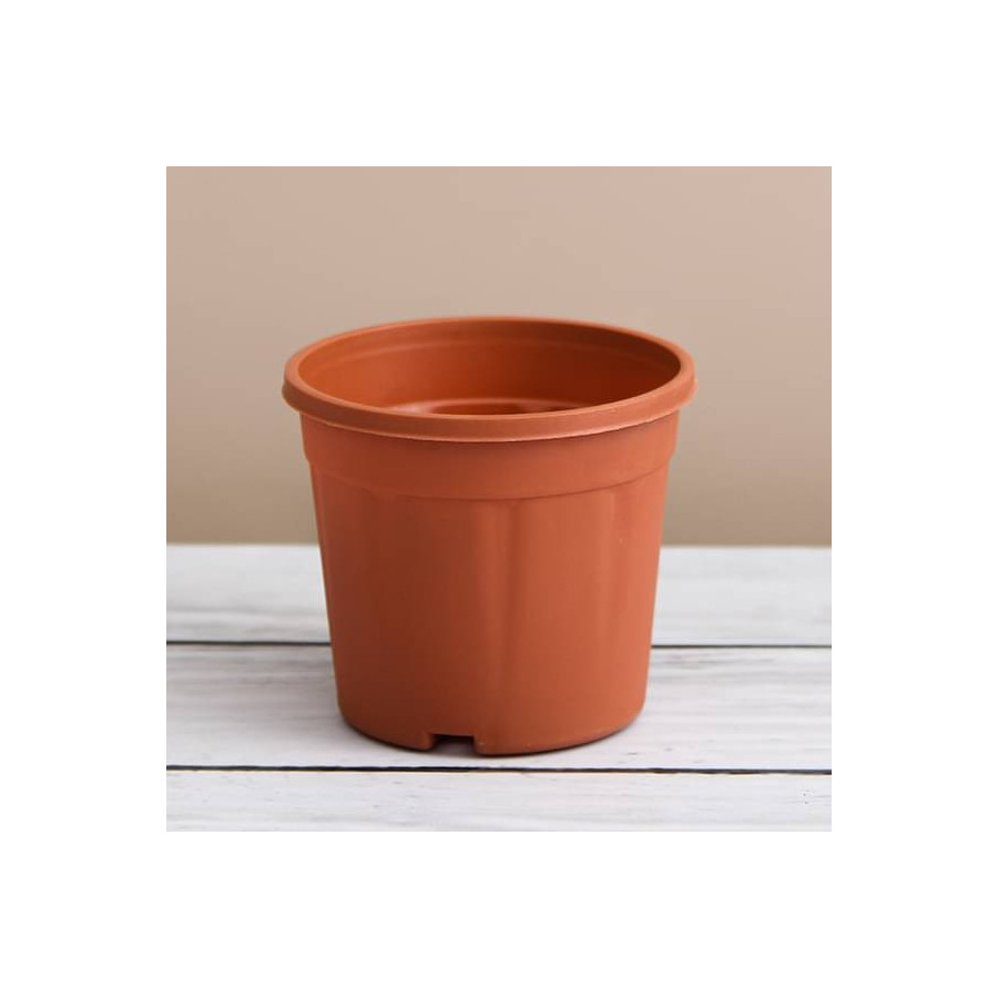 Round 4 inch Plastic Pot Combo with Discount for Succulents , Cactus , Rooting - 9 Pieces