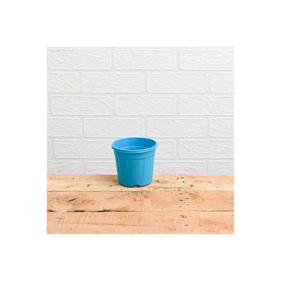 Round 4 inch Plastic Pot Combo with Discount for Succulents , Cactus , Rooting - 9 Pieces