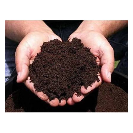 Pure Cow Dung Manure - 500 Kg (50 Kg Pack)