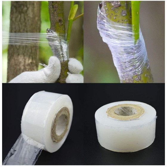 Grafting Tape For Plants - 2 & 3 Inch Width - 100 Meters Length