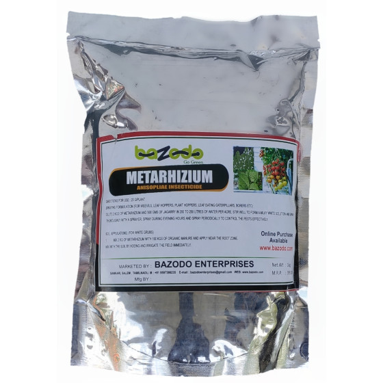 METARHIZIUM Anisopliae Insecticide | 1Kg | Buy Online