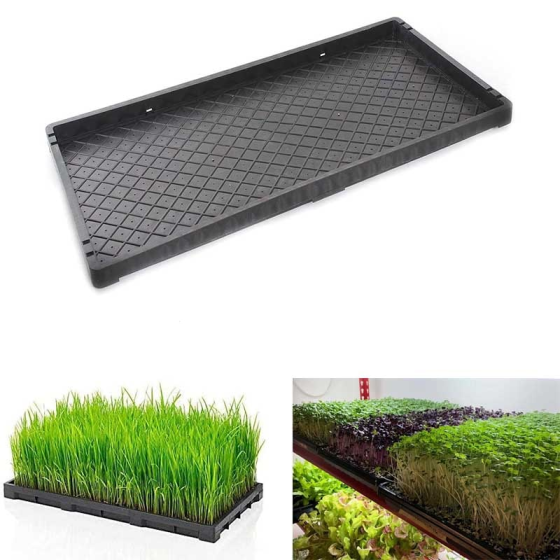 Plastic Tray For Paddy , Wheat Grass , Micro Greens Growing Purpose
