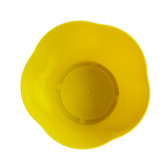 Bazodo Valencia Pot - Yellow Colour