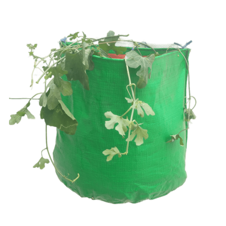 HDPE 220 GSM Vertical Hanging Grow Bag - (12 x 12 x 06 Inches ) - With Nylon 3 MM Rope
