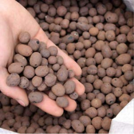 LECA Clay Balls (Hydrotons )For Hydroponics & Aquaponics - ( 8 - 15 MM) - 500 Grams Pack