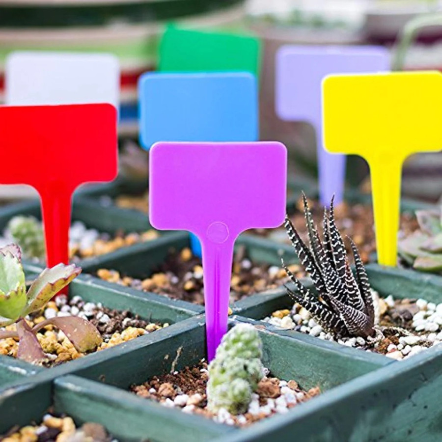 Plastic T Type Plant Tags Markers For Seedling and Nursery Plants
