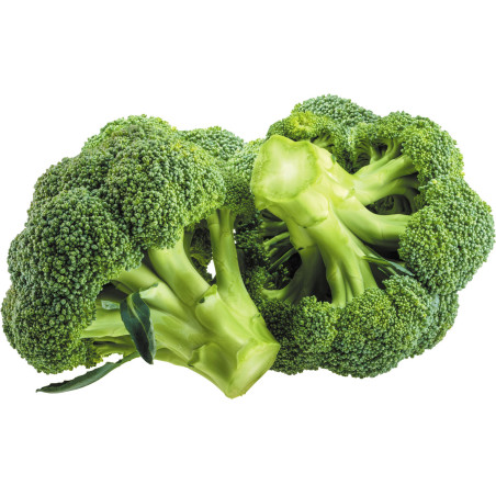Broccoli Seeds - Bazodo