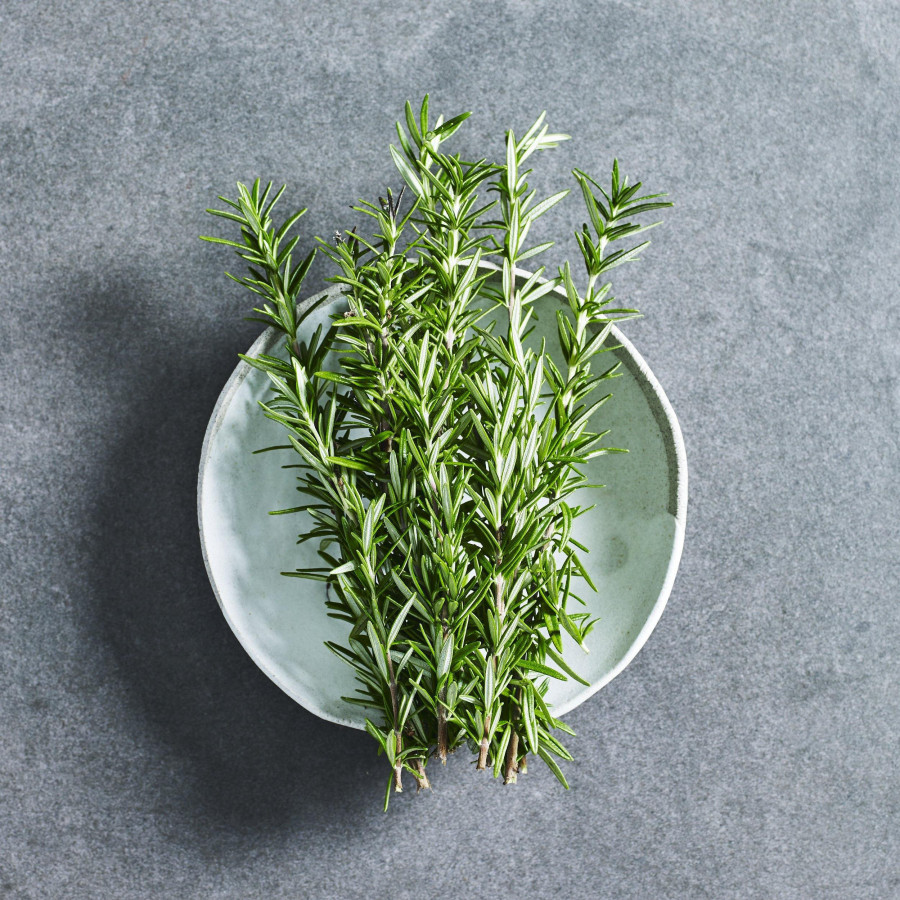 Rosemary Herb Seeds | Grow Your Own Rosemary Plant at Home | Buy Online