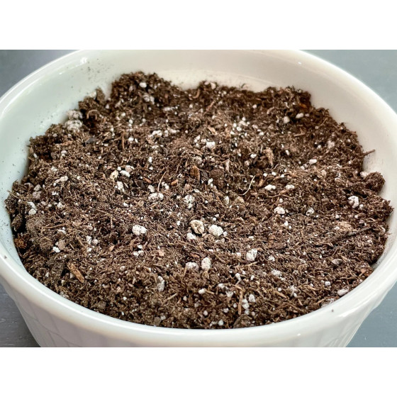 Seed Starting Mix - Germination Pot Mix - 1000 Grams Pack