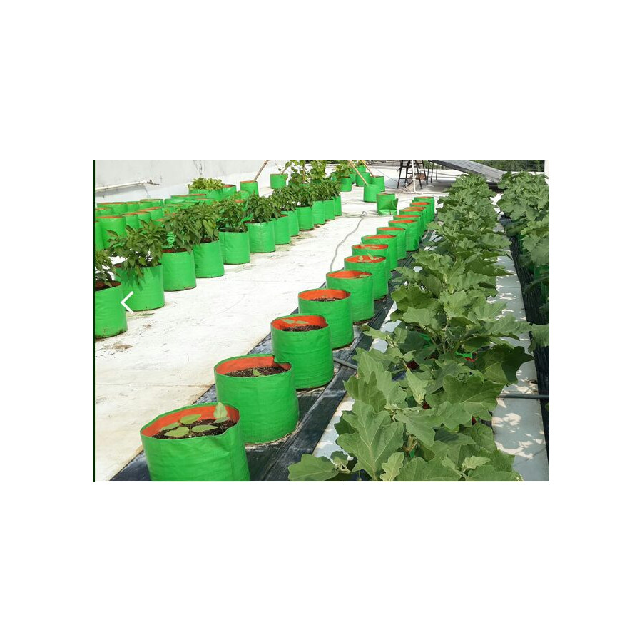 Bazodo HDPE Grow Bag 12 x 12 inch ( 1 x 1 feet ) - Round