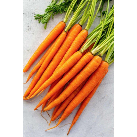 Carrot Seeds Packet - Bazodo