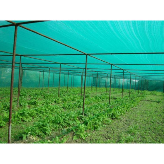 SHADE NET 75% - (3*10 Meter)(Breadth x Length) UV TREATED FOR SUNLIGHT PROTECTION