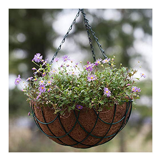 Bazodo 10 Inch Coir Hanging Pot basic with Hanging chain and Liner