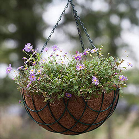 10 Inch Coir Hanging Pot basic with Hanging chain and Liner - Bazodo