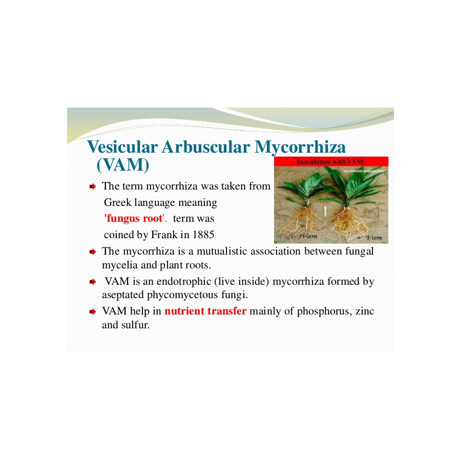 VAM Powder -(500 Grams &1kg)(Vascular arbusculat mycorrhiza)-Root growth Soultion
