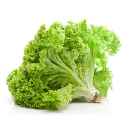 Lettuce Seeds - Greens