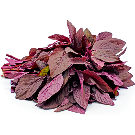 Red Amaranthus Spinach Seeds