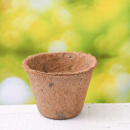 6 Inch Coir Pot by Bazodo - Eco-Friendly Biodegradable Plant Pot for Sustainable Gardening