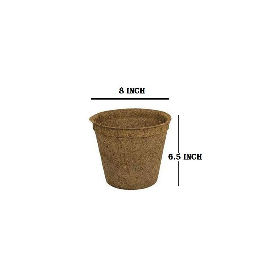 Bazodo 8 Inch Coir Pot - Eco-Friendly Biodegradable Plant Pot for Sustainable Gardening