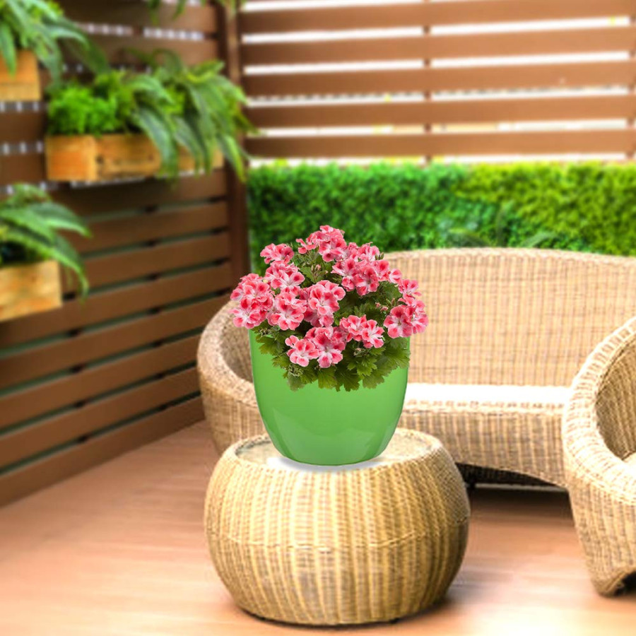 Orchid Indoor Tabletop Small Planter Plastic Pot - Green Color - Bazodo
