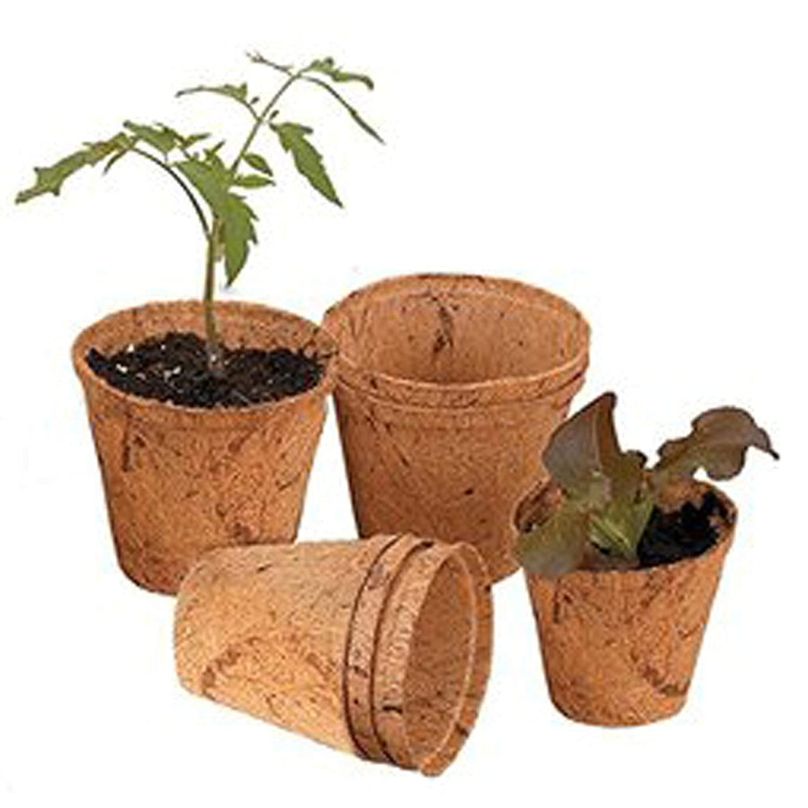 3 Inch Coir Seedling Pot - Seed Germination Cup - Bazodo