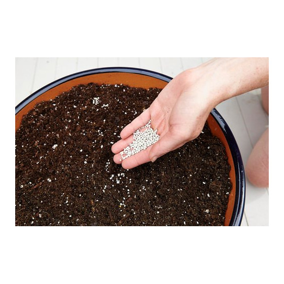 Premium Indoor Potting Mix For Cactus & Succulents and Adenium- All Types Of Indoor Plants (Well Drained) - 1Kg Pack