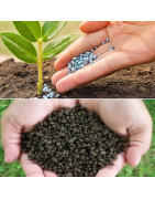 Bio Fertilizer and Growth Promoter